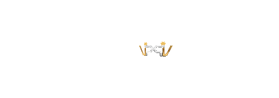 VIRTUSPLAY System